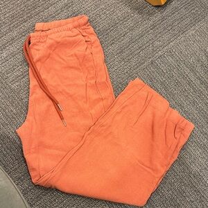 Women's Stylish Rust Trousers